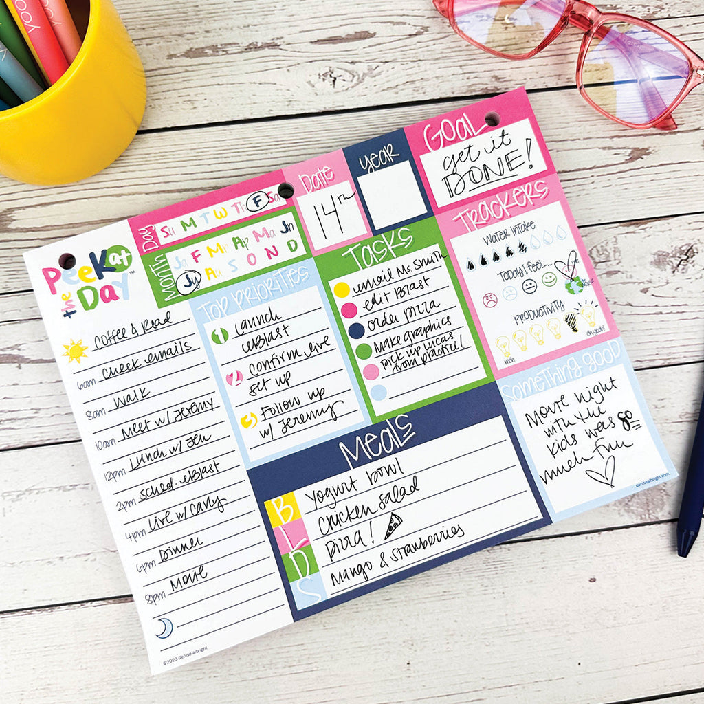 CLEARANCE! Bright & Cheery Bundle | 2024-25 Reminder Binder®+ [3] Planner Pads + Mini Notebook