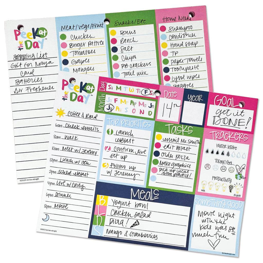 Plan Your Way Bundle | Daily & Weekly Planner Pads | Bright & Cheery | Daily Deal | 2/11/25