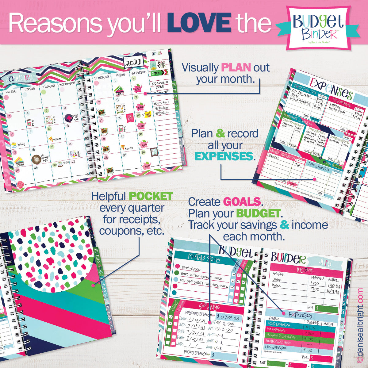 Budget Planner & Budget Book - 12-Month Finance Planner, Monthly Bill Organizer, Budget, Debt, Saving & Expense Tracker with Budget Stickers - Track