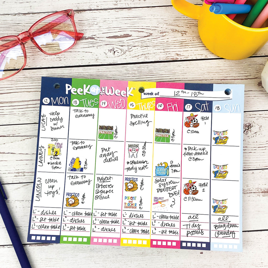 Bright & Cheery Bundle | 2023-24 Reminder Binder®+ [3] Planner Pads + Mini Notebook